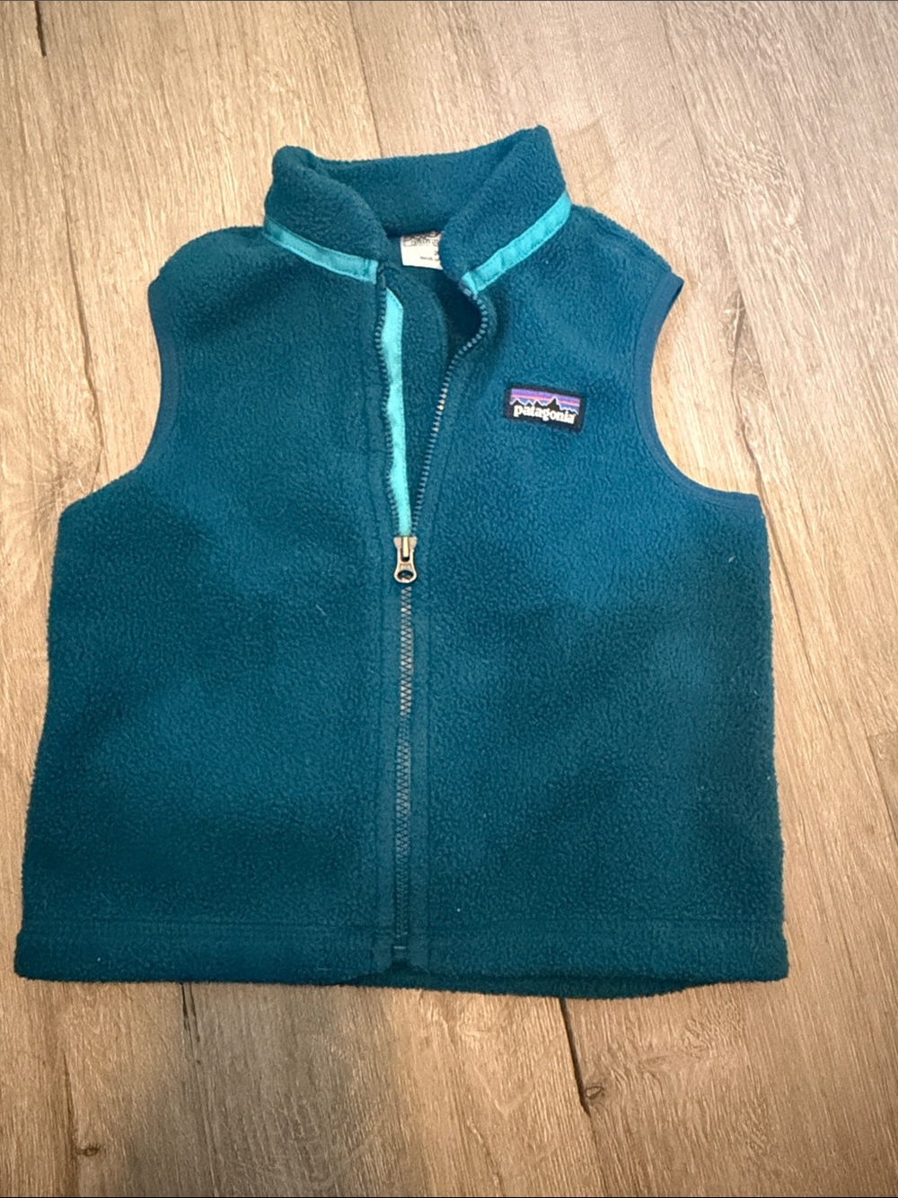 Patagonia toddler Synchilla
fleece vest size 2T